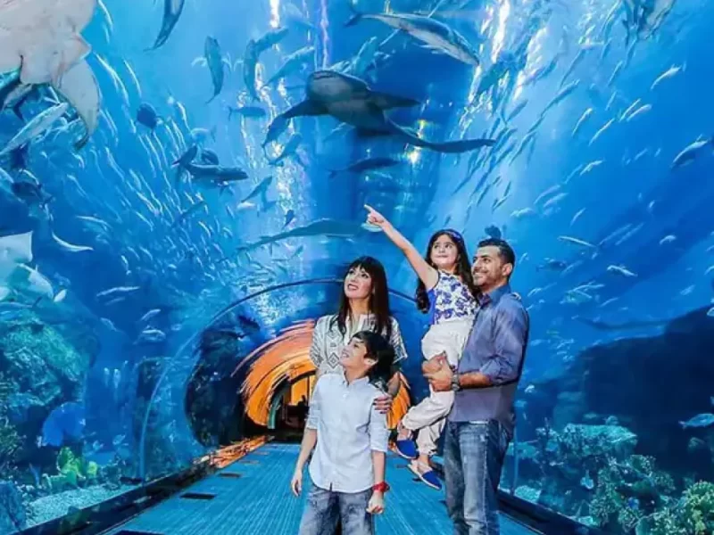 dubai-mall-aquarium-Rendez-vous-dubai-960x1149